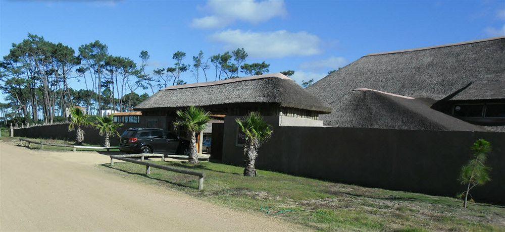 Chihuahua Punta Del Este Arenas Hotel מראה חיצוני תמונה