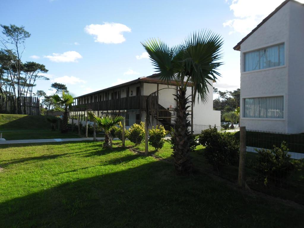 Chihuahua Punta Del Este Arenas Hotel מראה חיצוני תמונה
