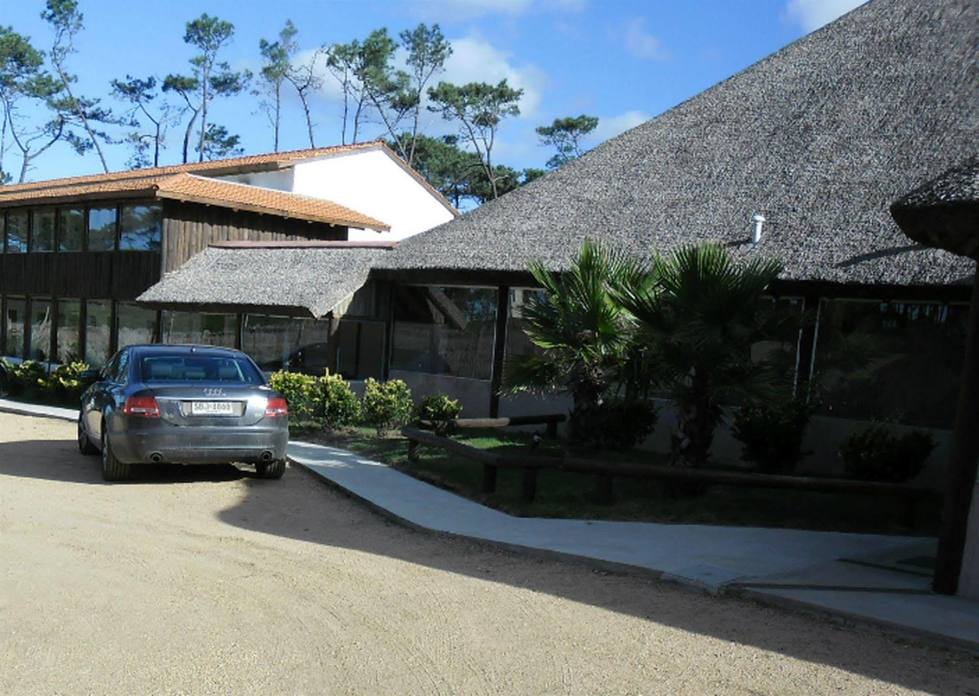Chihuahua Punta Del Este Arenas Hotel מראה חיצוני תמונה