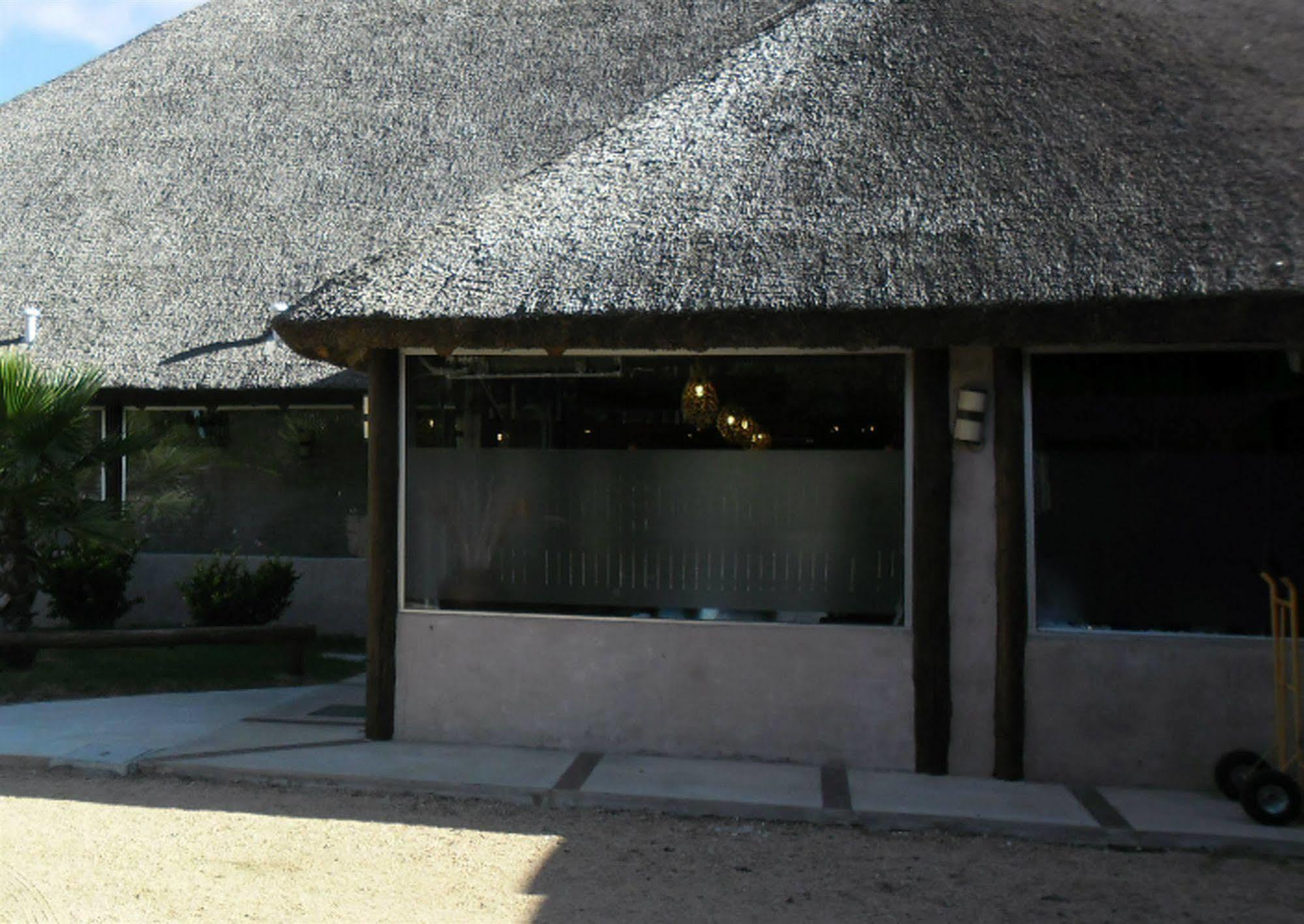 Chihuahua Punta Del Este Arenas Hotel מראה חיצוני תמונה