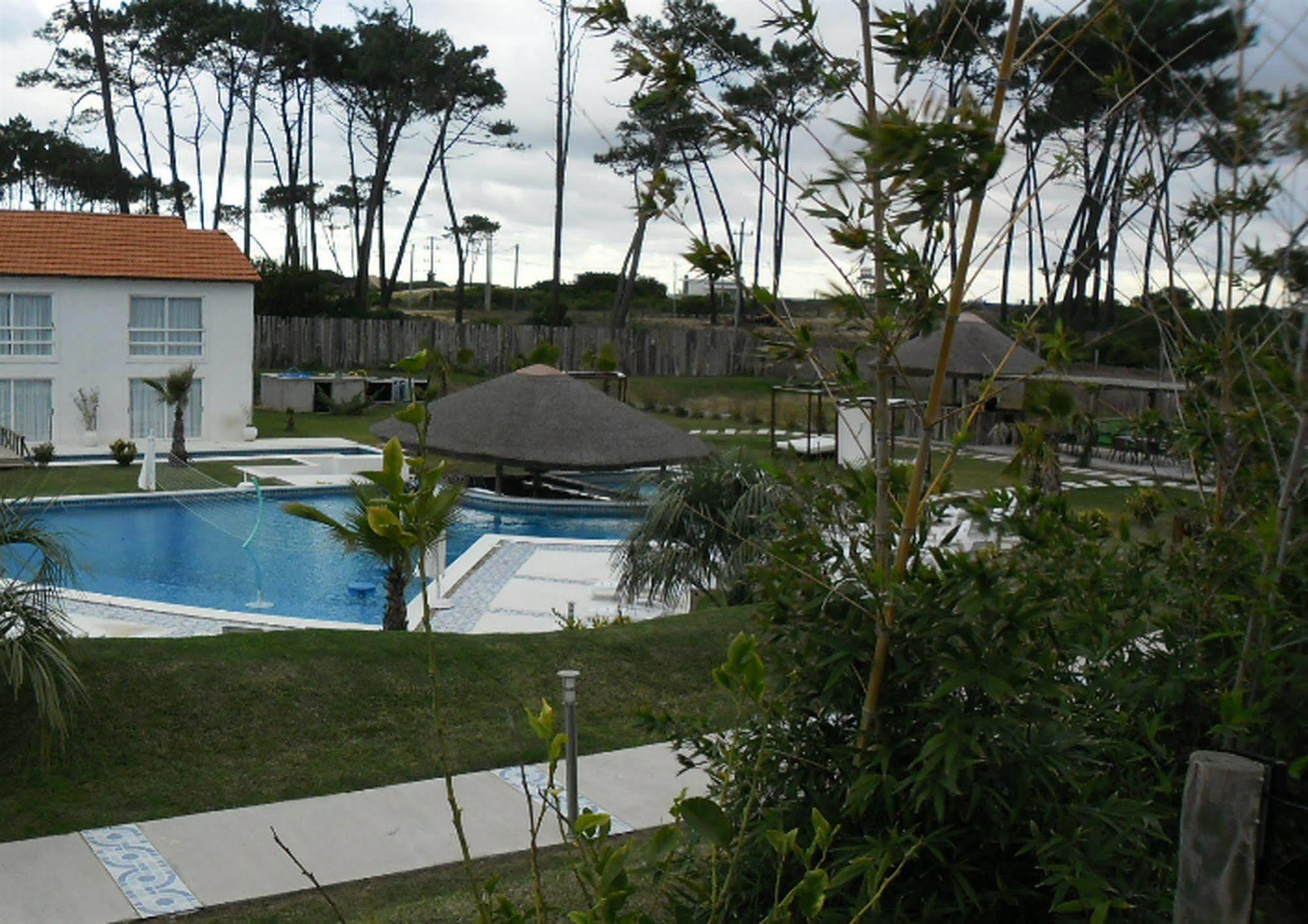 Chihuahua Punta Del Este Arenas Hotel מראה חיצוני תמונה
