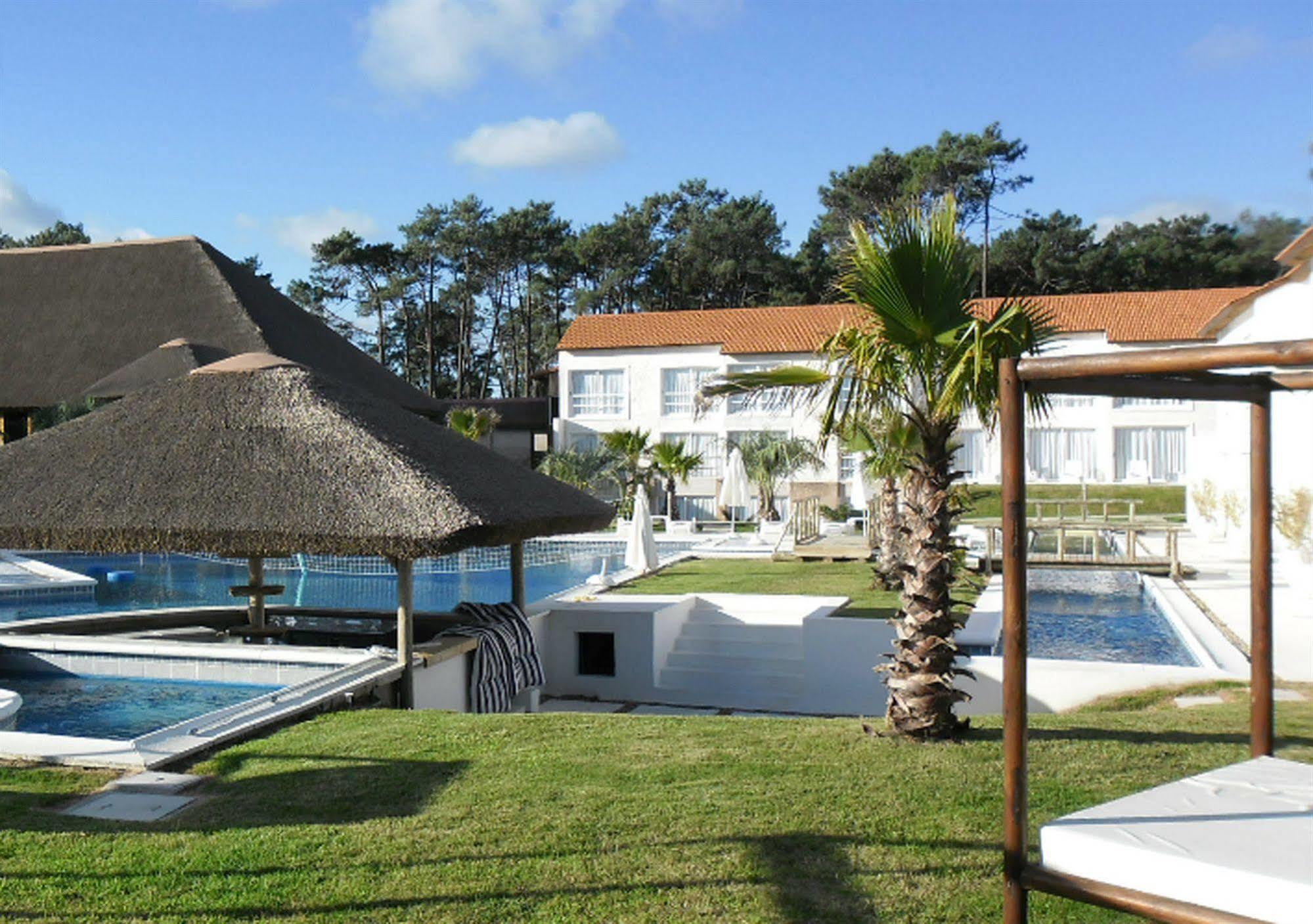 Chihuahua Punta Del Este Arenas Hotel מראה חיצוני תמונה