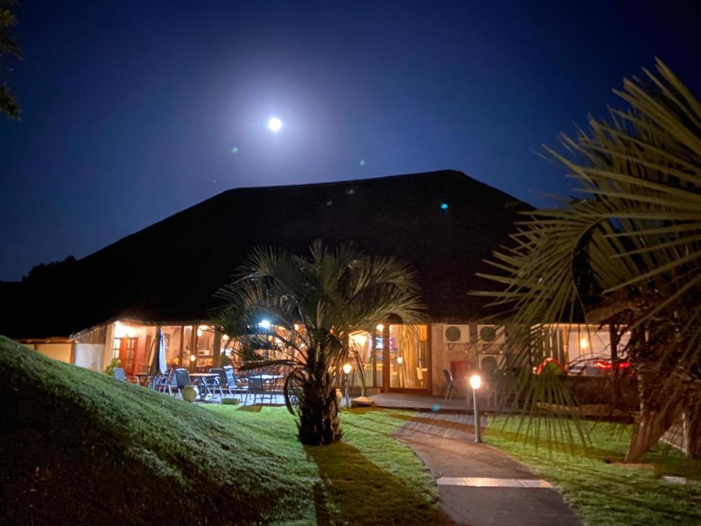 Chihuahua Punta Del Este Arenas Hotel מראה חיצוני תמונה