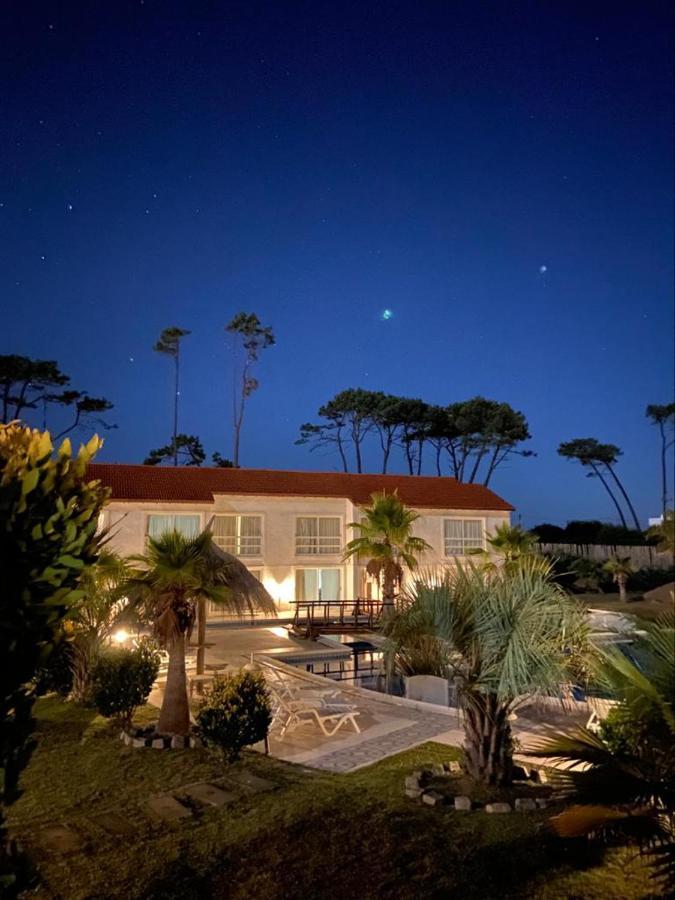 Chihuahua Punta Del Este Arenas Hotel מראה חיצוני תמונה