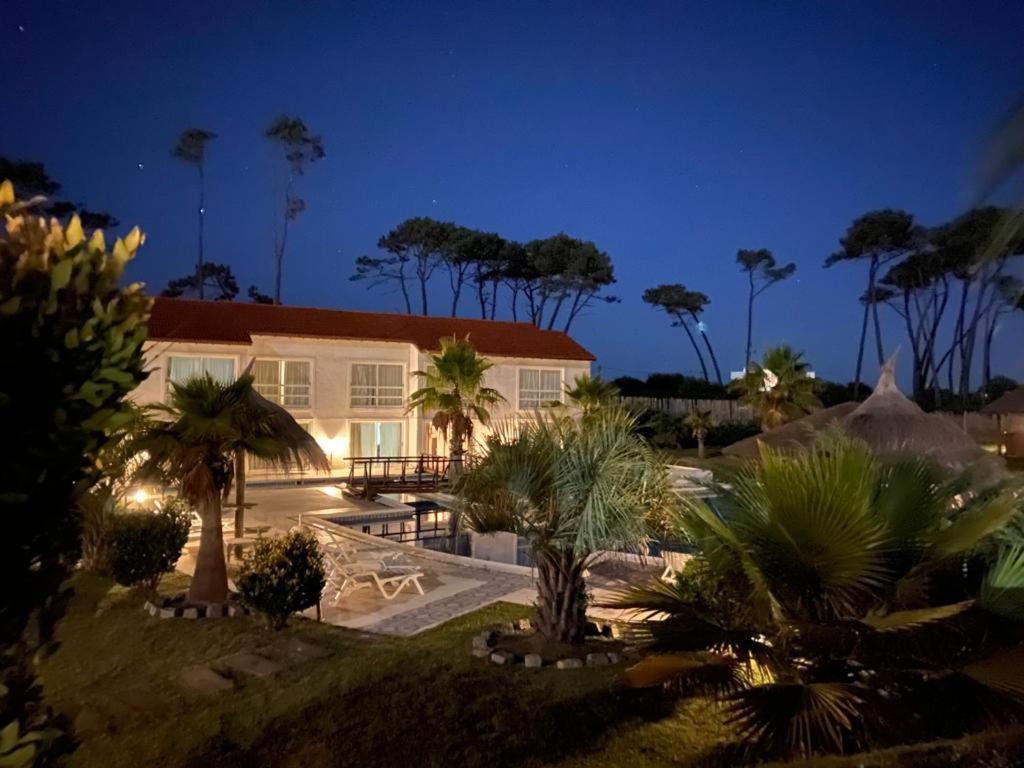 Chihuahua Punta Del Este Arenas Hotel מראה חיצוני תמונה